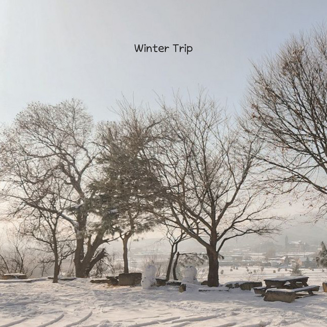 Winter Trip cover art