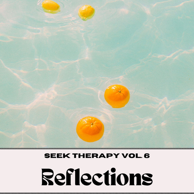 Seek Therapy, Vol. 6: Reflection cover art