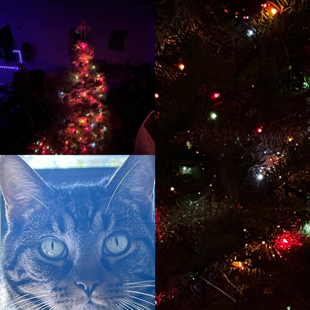 katelyn cover art