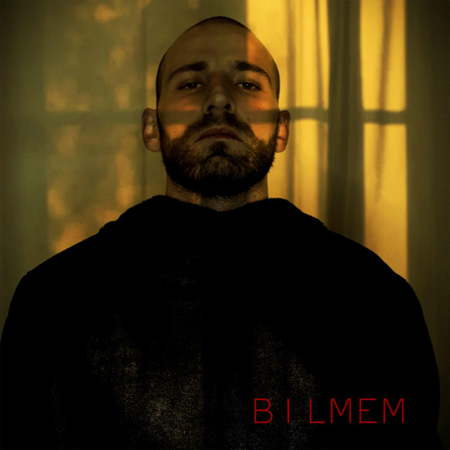Bilmem cover art