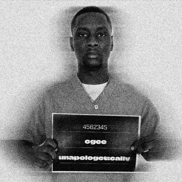 Unapologetically cover art