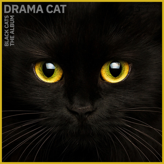 Black Cats the Album - EP by Drama Cat | Spotify