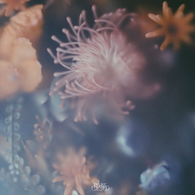 Parfum cover art