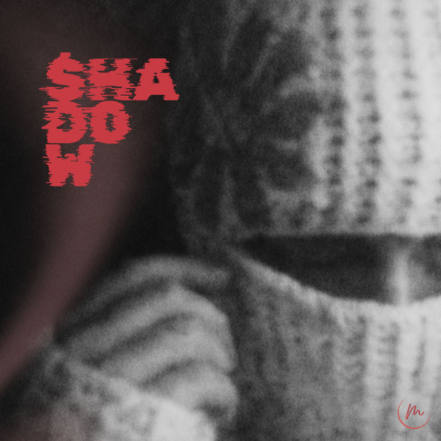 Shadow cover art
