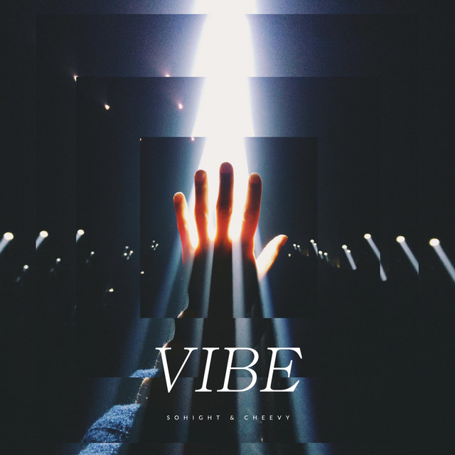 Vibe cover