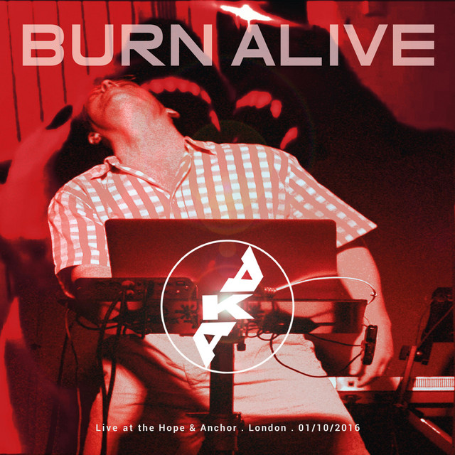 Burn Alive cover art