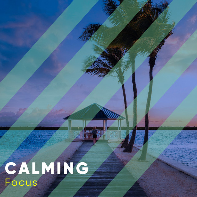 # Calming Focus - Compilation by Various Artists | Spotify