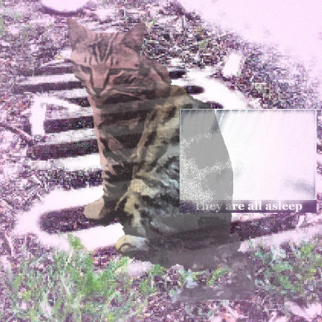 Electronic music not intended to be rapped on cover