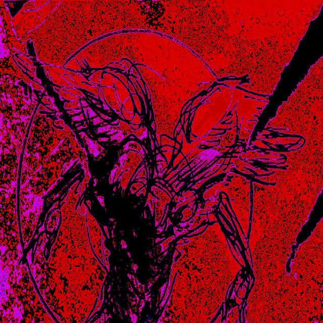 Dematerialize cover art