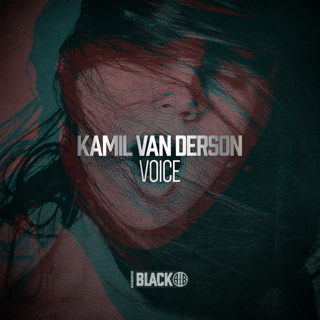 Voice album art