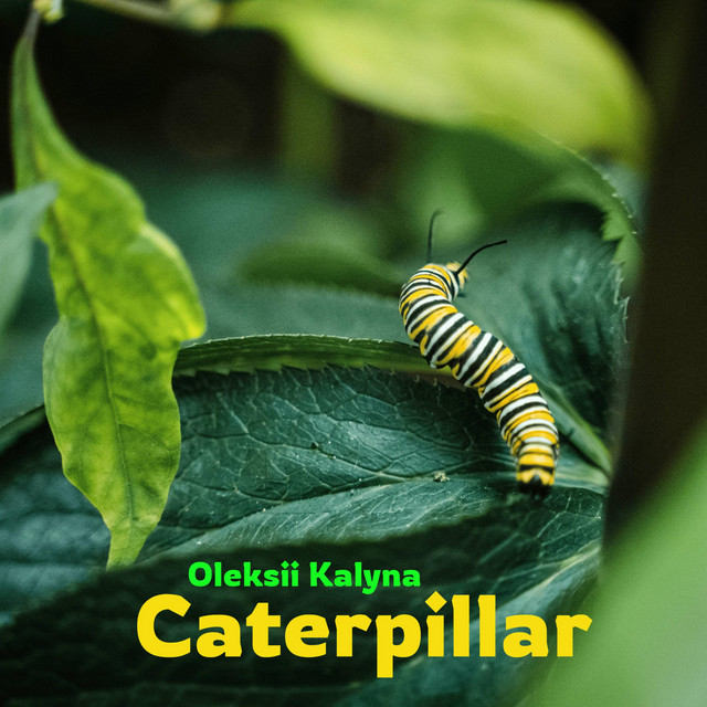 Обкладинка: Caterpillar — Oleksii Kalyna