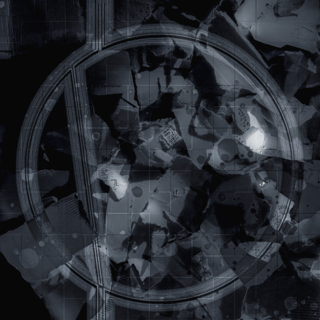 Selva of the Zone cover