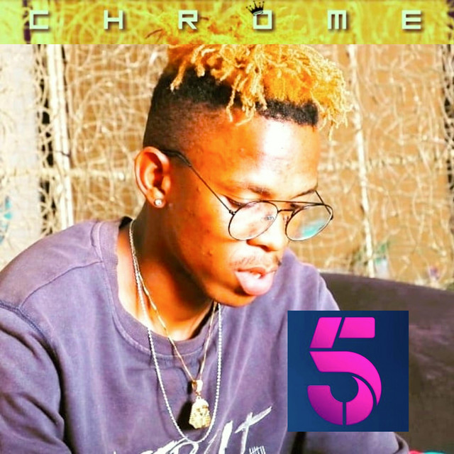 5 cover art