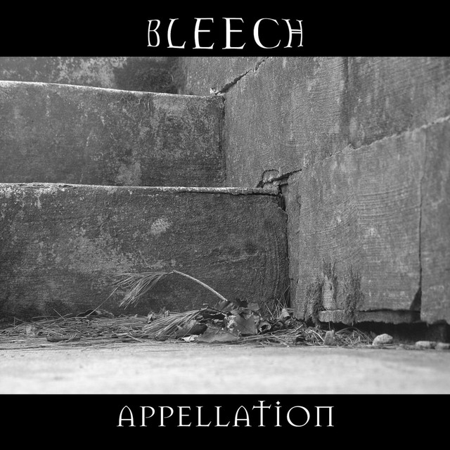 Bleech