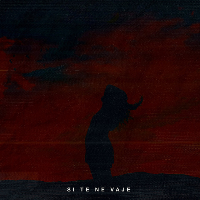 Si Te Ne Vaje - feat. O'Tsunami