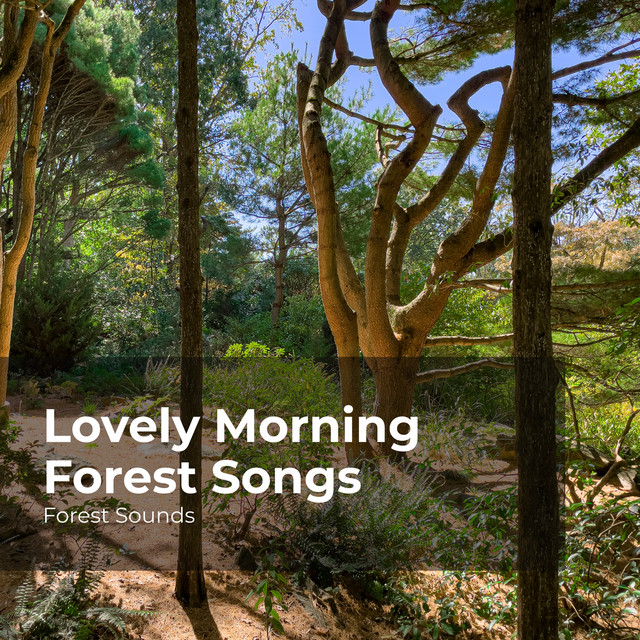 A Forest Song main image 1