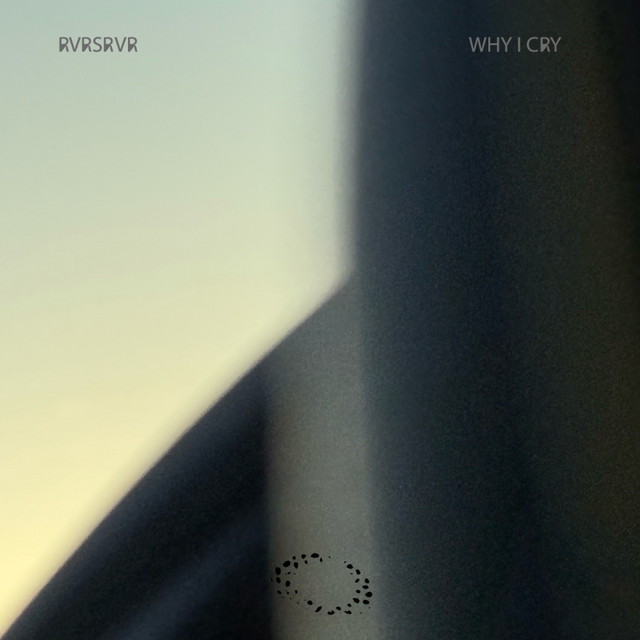 Why I Cry - Original Mix