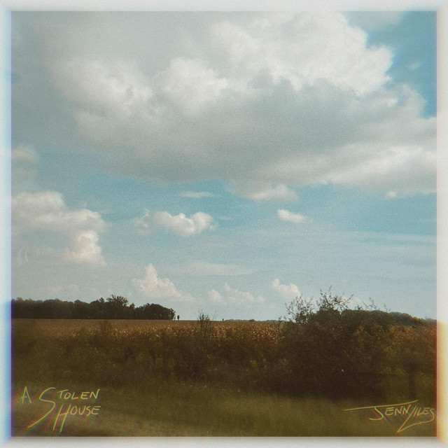 a stolen house cover art