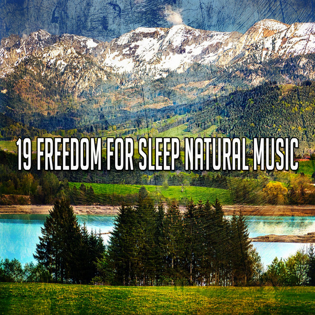 19 Freedom For Sleep Natural Music - Album by Sounds of Nature Noise ...