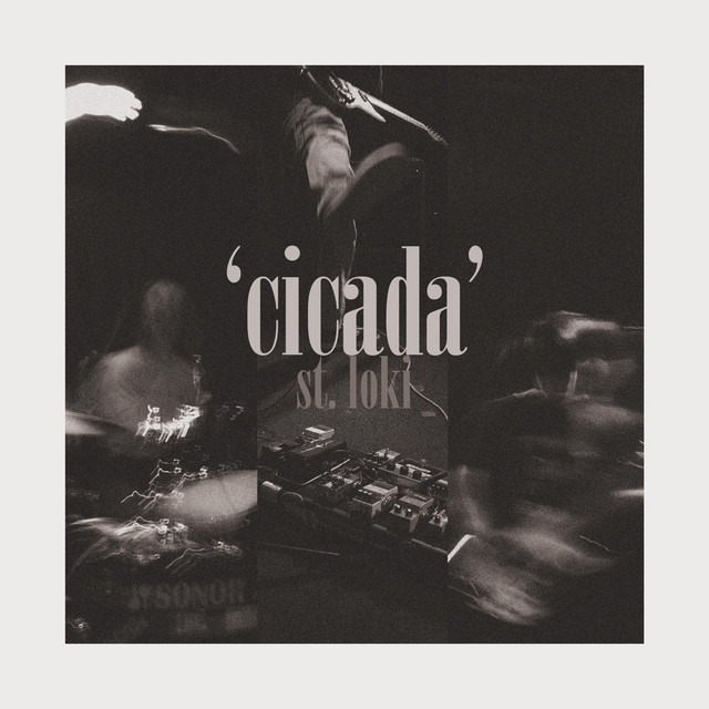 Cicada cover art