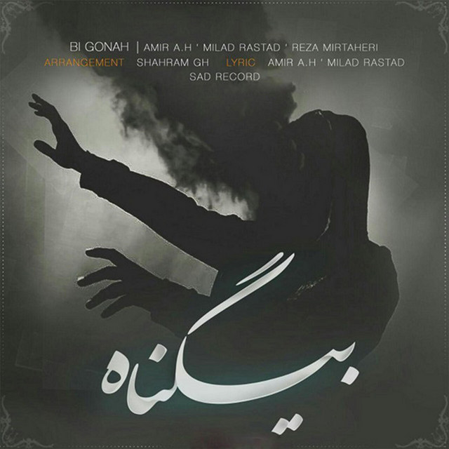 Amir A.H