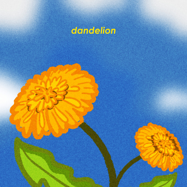 dandelion cover art