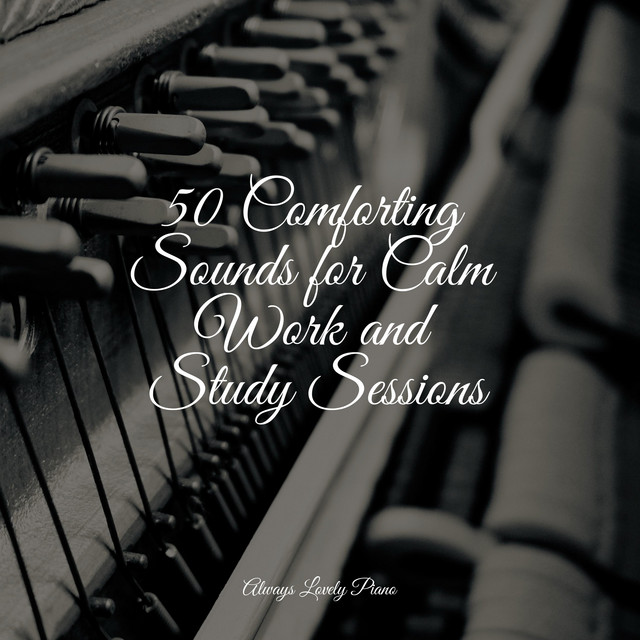 50 Comforting Sounds for Calm Work and Study Sessions - Album by Piano ...
