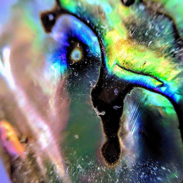 Soft Continuum cover art