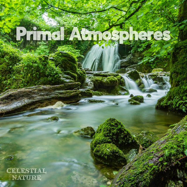 Primal Atmospheres cover art