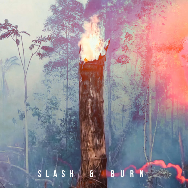 Slash & Burn