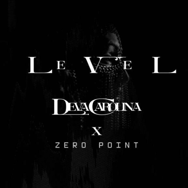 Level cover art