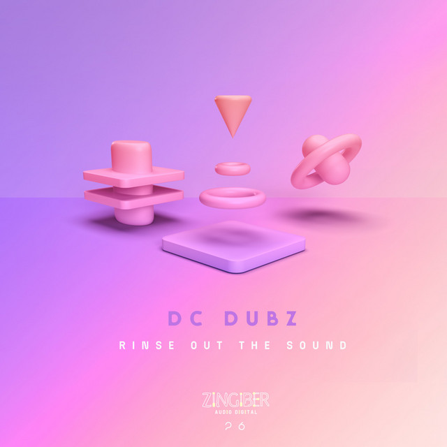 Rinse Out The Sound - Original Mix cover art