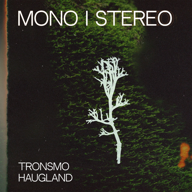 MONO I STEREO cover art
