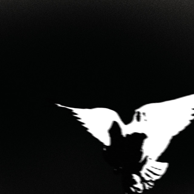 Revival cover art