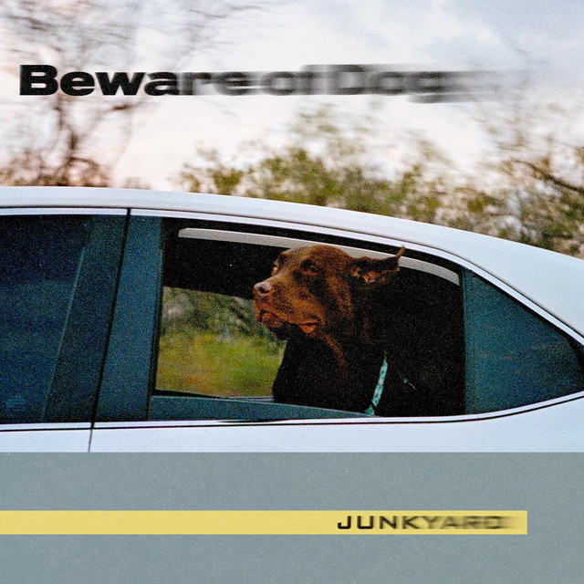 Junkyard cover art