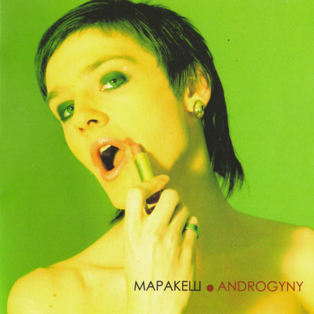 Androgyny cover art