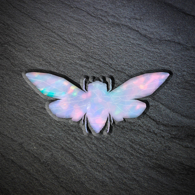 Metamorphosis cover art