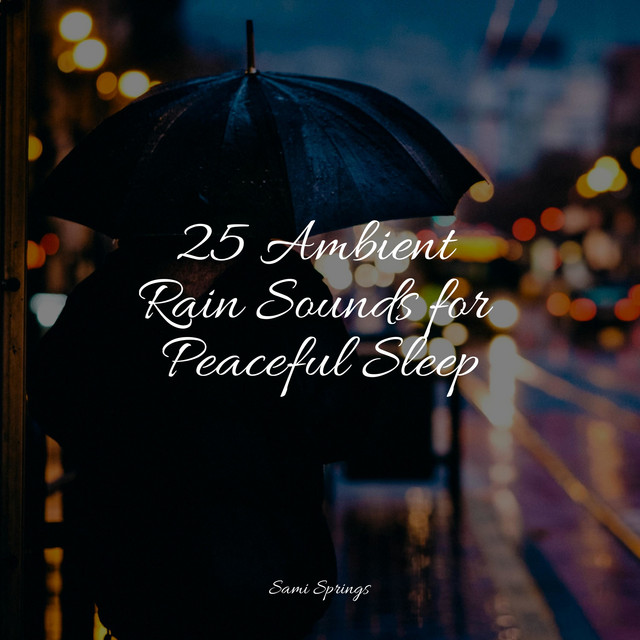 25 Ambient Rain Sounds for Peaceful Sleep - Album by Rain Sounds ...
