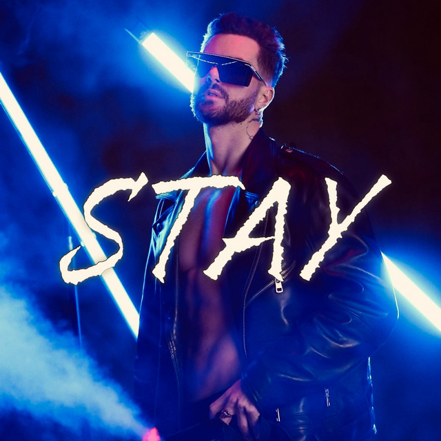 Обкладинка: Stay — Petr Zelenin