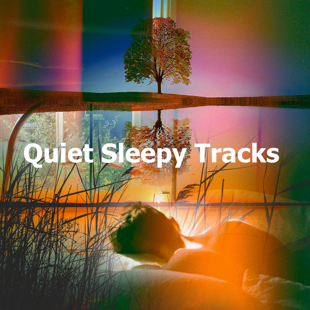 Quiet Sleepy Tracks - Album by Deep Sleep Relaxation | Spotify