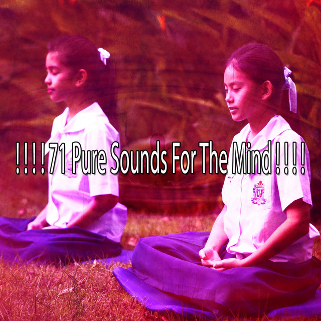 71 Pure Sounds For The Mind ! ! ! ! - Album by Guided Meditation | Spotify