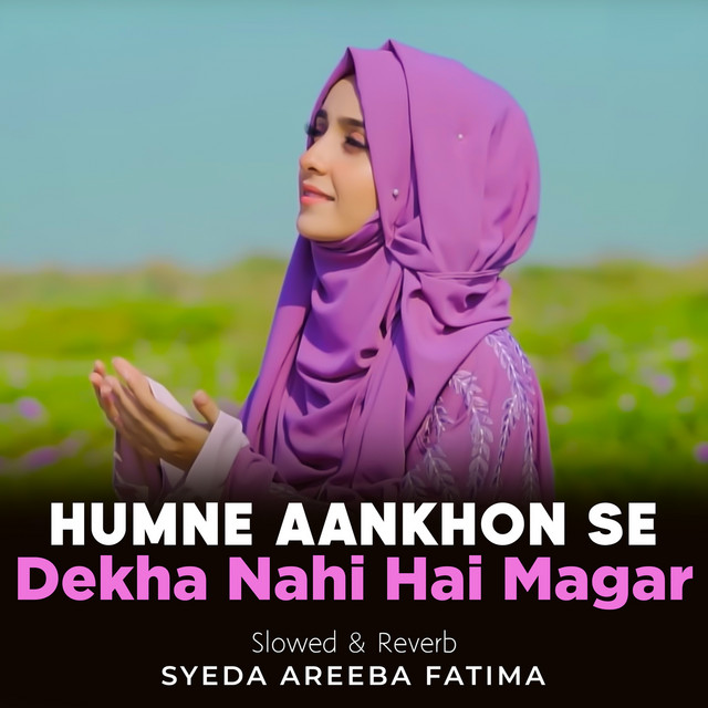 Humne Ankhon Se Dekha Nahi Lofi - Single by Syeda Areeba Fatima | Spotify