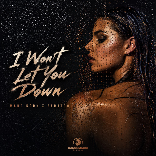 I Won't Let You Down cover