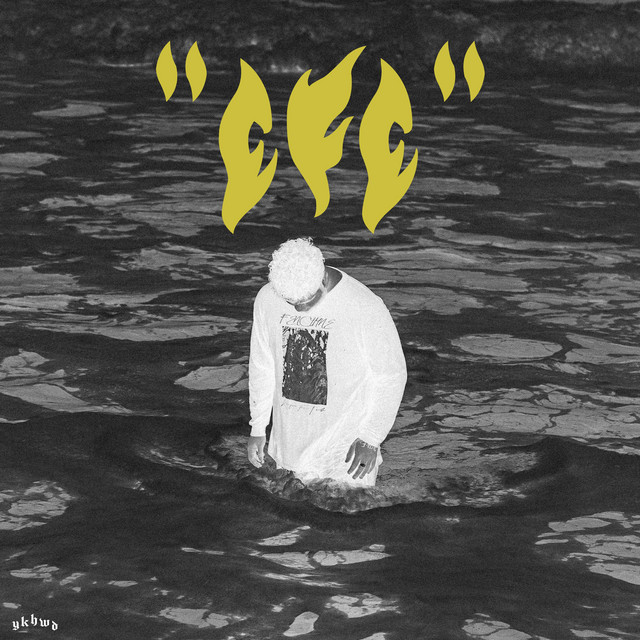 EFE cover art