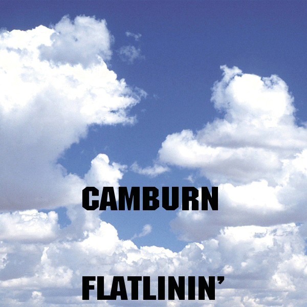 Flatlinin' cover art