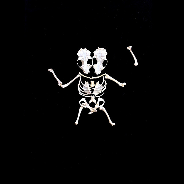 Gloam cover art