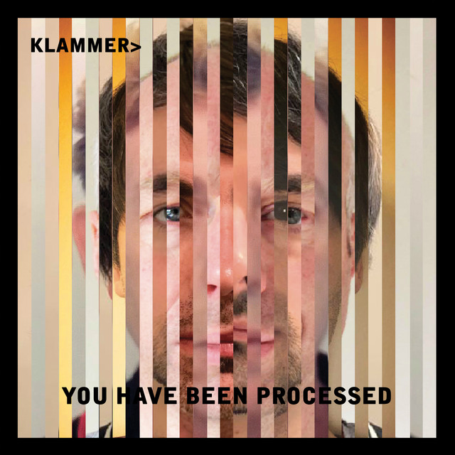 You Have Been Processed cover art