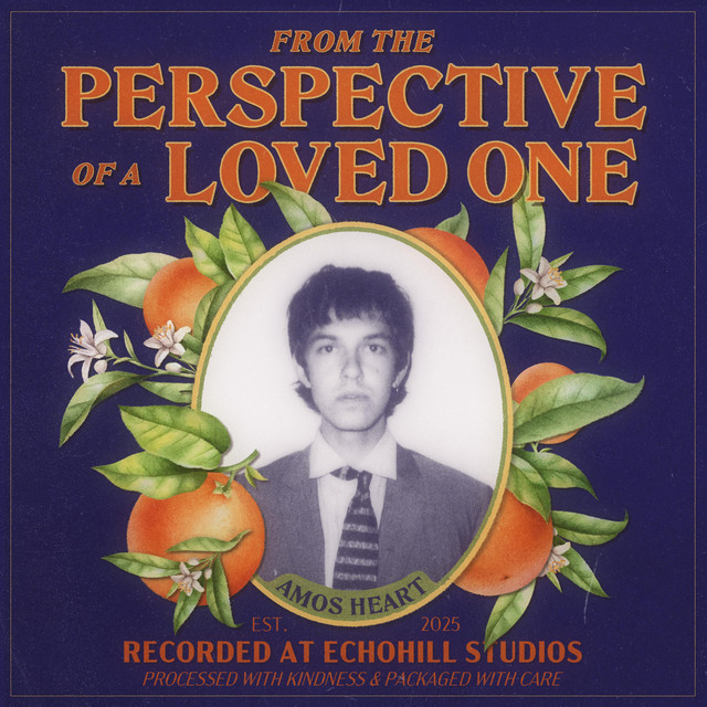 From the Perspective of a Loved One cover art