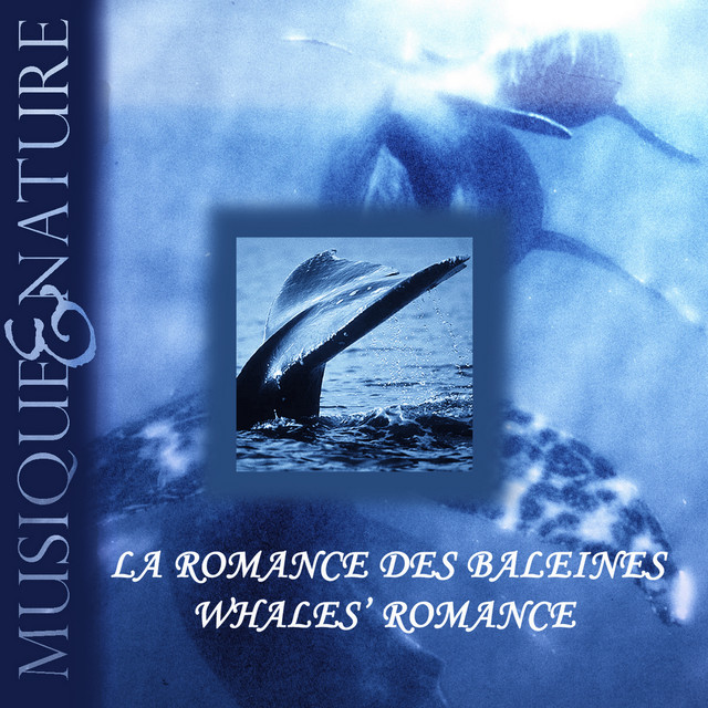 Artwork for Au Coeur de la nuit des baleines, at dead of whales night