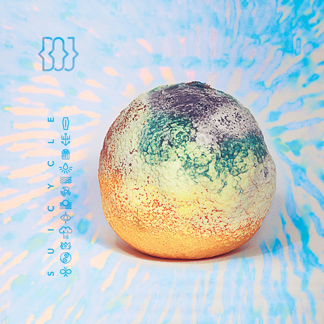 Suicycle cover